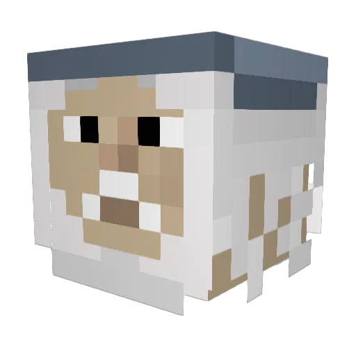 Iresire Minecraft avatar head, 3D render