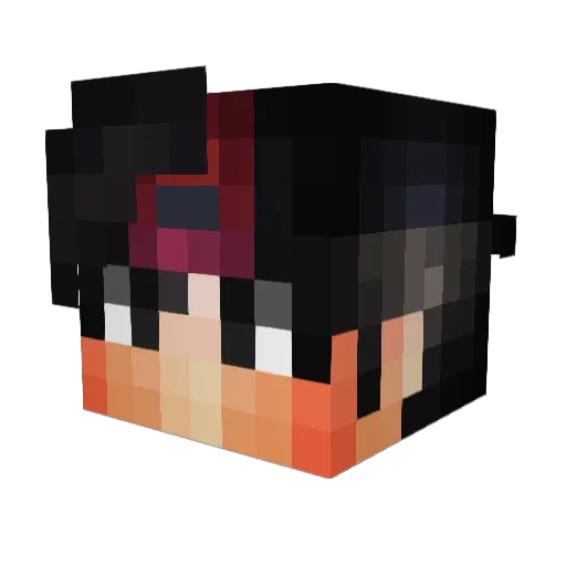 IrfanMC_ Minecraft avatar head, 3D render