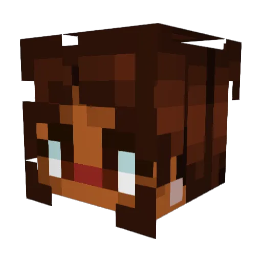 IriPlays Minecraft avatar head, 3D render