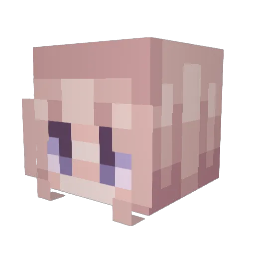 Iriamu23 Minecraft avatar head, 3D render