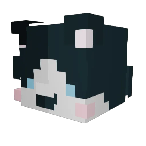 IridescentFog Minecraft avatar head, 3D render