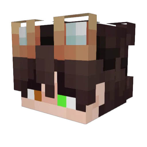 Iridium09 Minecraft avatar head, 3D render