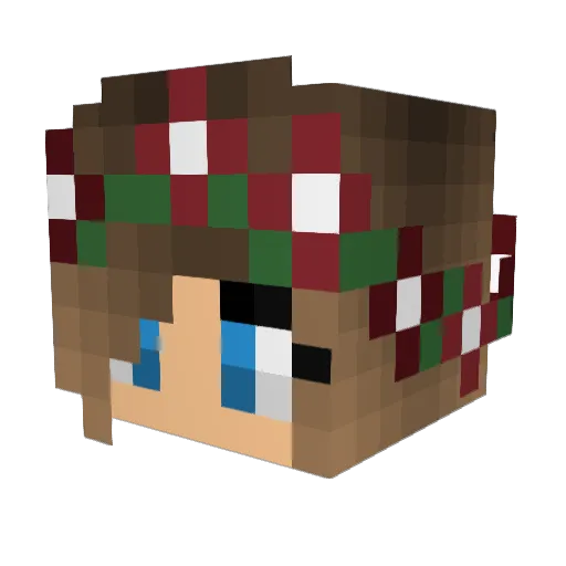 Iriiiiiiii Minecraft avatar head, 3D render
