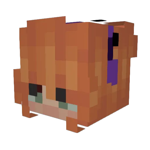 Minecraft-Avatar von Iris304: Kopf als 3D-Render
