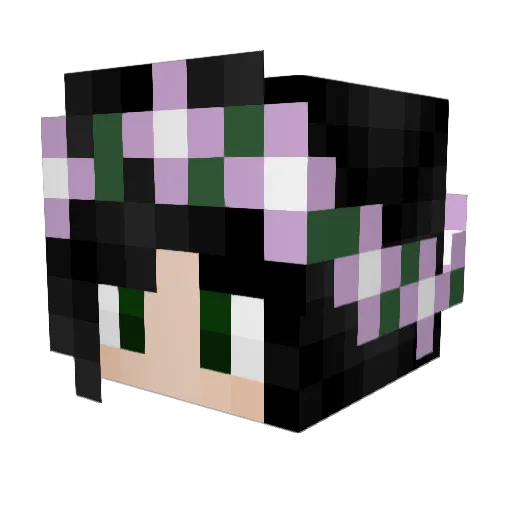 IrisArrow Minecraft avatar head, 3D render
