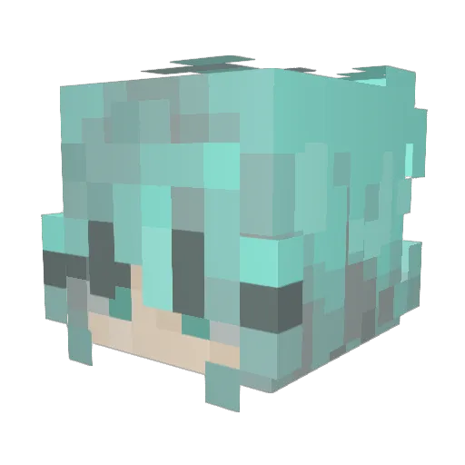 IrisB_69 Minecraft avatar head, 3D render
