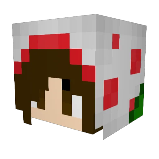 IrisEntol Minecraft avatar head, 3D render