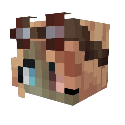 IrisFlwrs Minecraft avatar head, 3D render