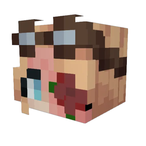 IrisFlwrs Minecraft avatar head, 3D render