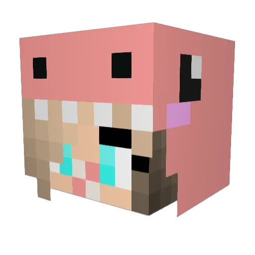 IrisKelly Minecraft avatar head, 3D render