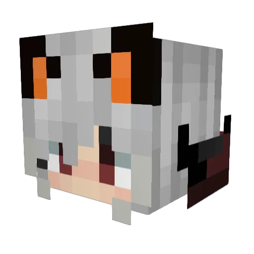 IrisW_ Minecraft avatar head, 3D render