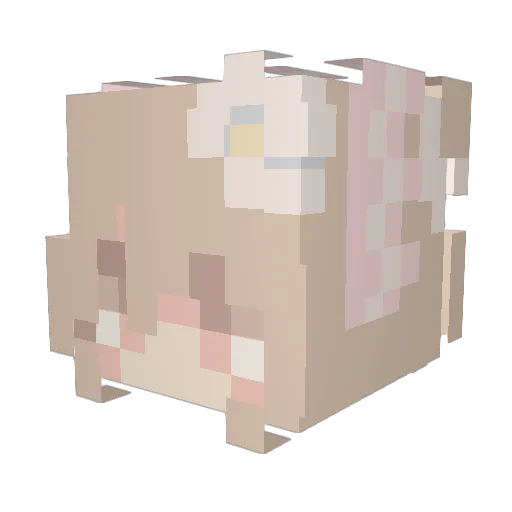 IrisWolf124 Minecraft avatar head, 3D render