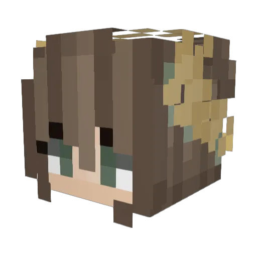 Iris_Eon Minecraft avatar head, 3D render