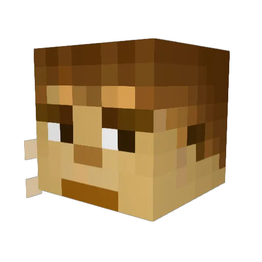 Iris_unicorn Minecraft avatar head, 3D render