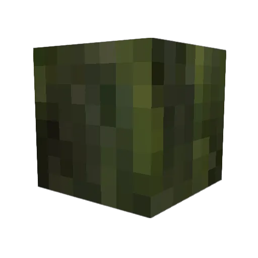 Irisa88 Minecraft avatar head, 3D render