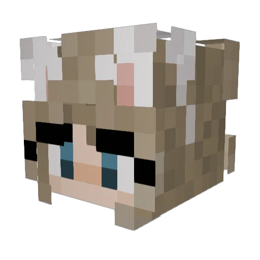 Irisa_13MoonTrp Minecraft avatar head, 3D render