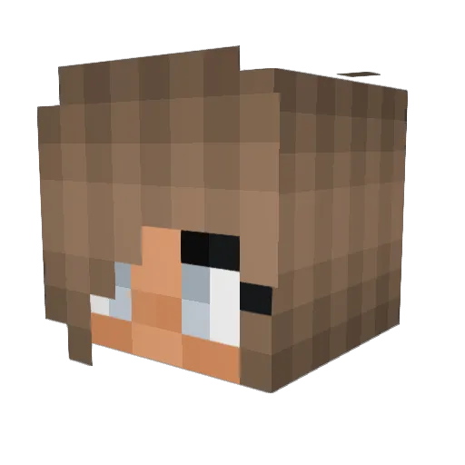 IrisesWorld Minecraft avatar head, 3D render