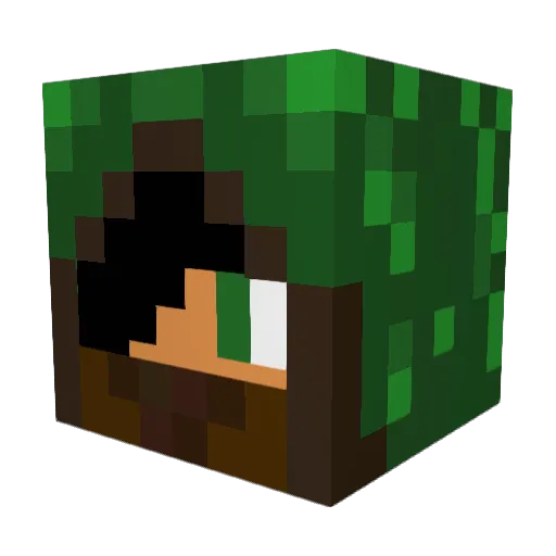 IrishArrow Minecraft avatar head, 3D render