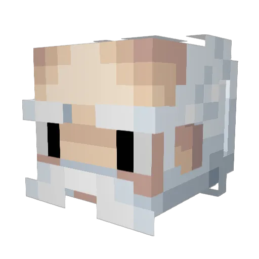 IrishFreak91 Minecraft avatar head, 3D render