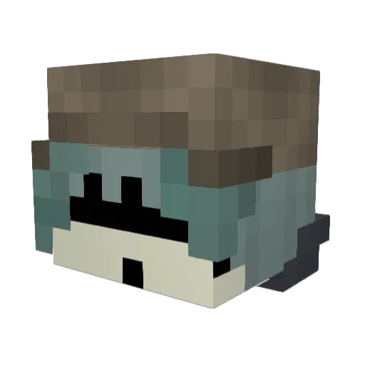 IrishPotato123 Minecraft avatar head, 3D render