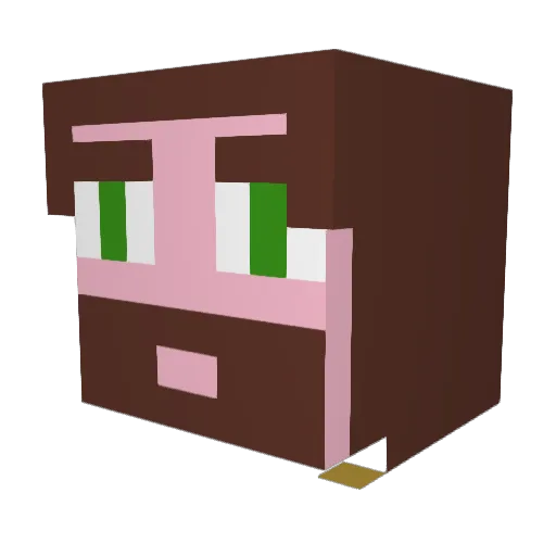 Irish_Carbonite Minecraft avatar head, 3D render