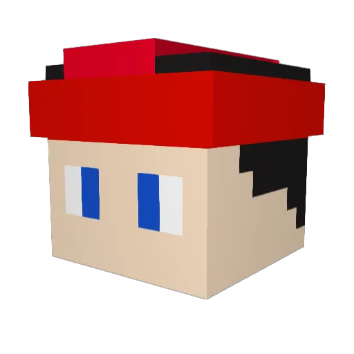 Irishpicklejuice Minecraft avatar head, 3D render
