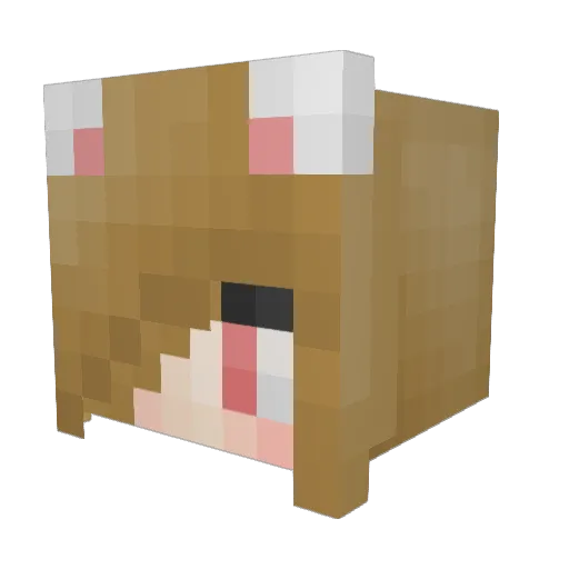 Iriska2 Minecraft avatar head, 3D render