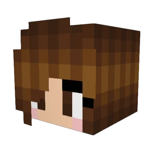 Irismp Minecraft avatar head, 3D render