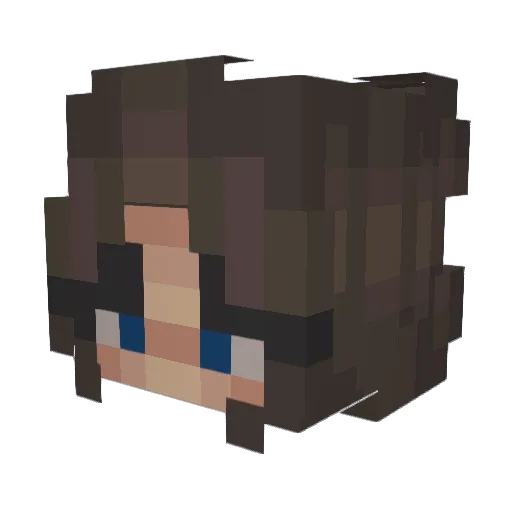 Irisplays_exe Minecraft avatar head, 3D render