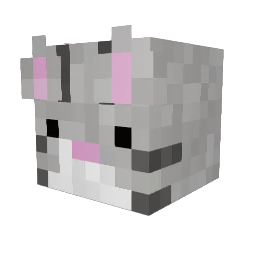 IrisssWoah Minecraft avatar head, 3D render