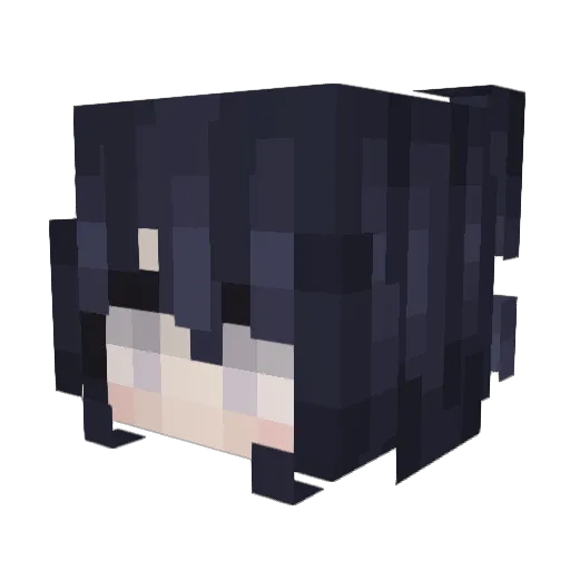 Irisssssss Minecraft avatar head, 3D render