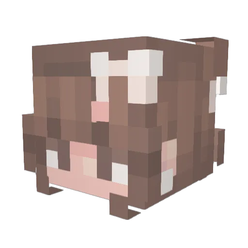 Iristhecat2012 Minecraft avatar head, 3D render