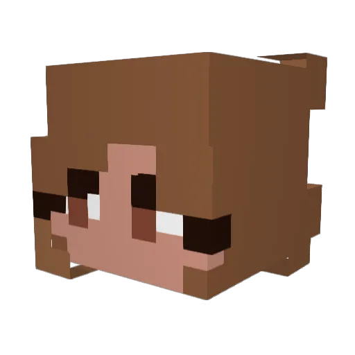 Irit Minecraft avatar head, 3D render