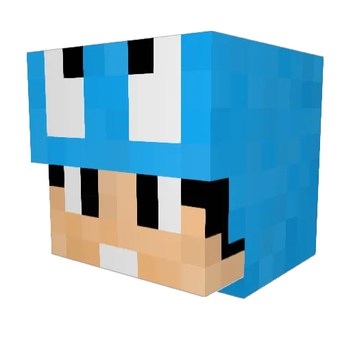 IrixSong Minecraft avatar head, 3D render