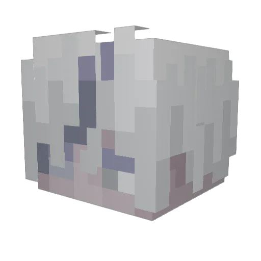 IrksomeImpala40 Minecraft avatar head, 3D render