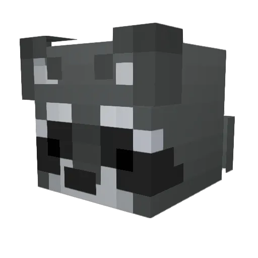 IrlRacc Minecraft avatar head, 3D render