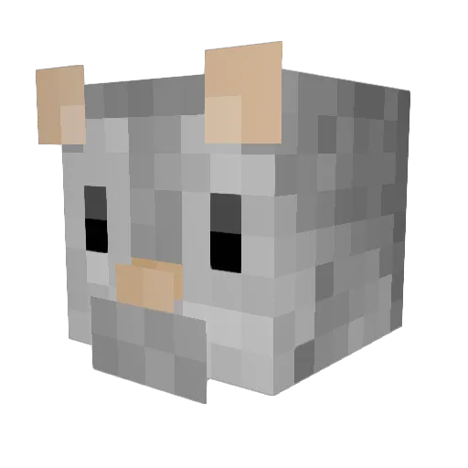 Irmus111 Minecraft avatar head, 3D render