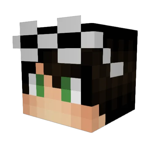 IronMatrix17 Minecraft avatar head, 3D render
