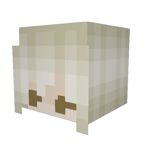 IronSkeleton Minecraft avatar head, 3D render