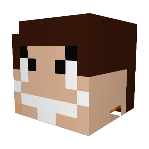 IronTeez Minecraft avatar head, 3D render