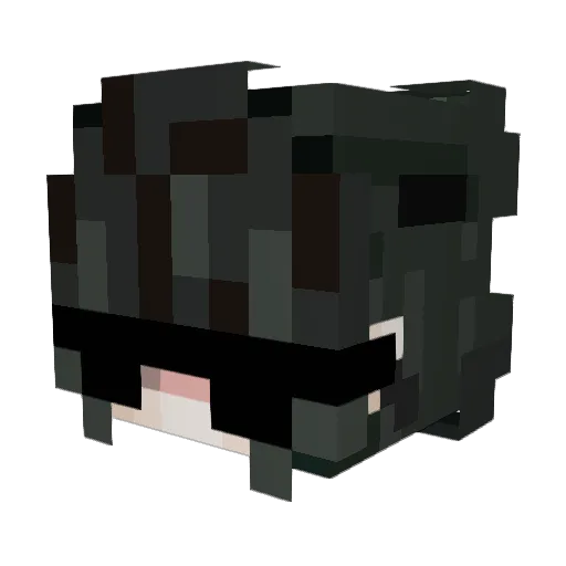 Iron_Fox Minecraft avatar head, 3D render