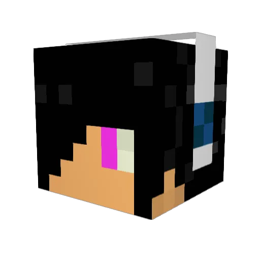 Iron_Nater Minecraft avatar head, 3D render