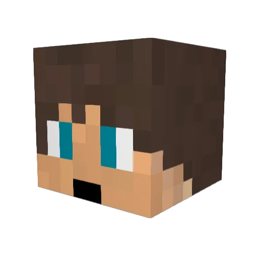 Iron_Sword377 Minecraft avatar head, 3D render