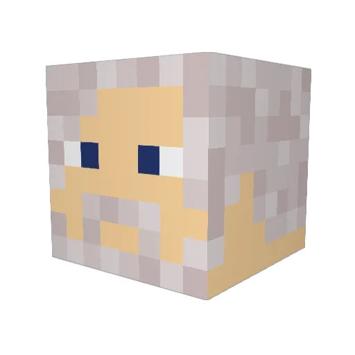Iron__Chancellor Minecraft avatar head, 3D render
