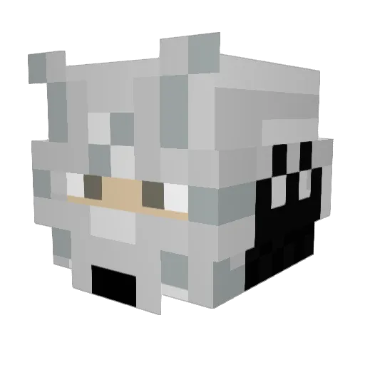 IronbotT_T Minecraft avatar head, 3D render