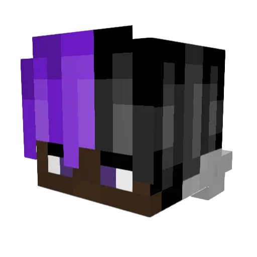 Irongod407 Minecraft avatar head, 3D render