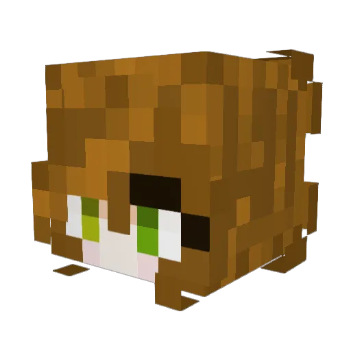 IronicBeez Minecraft avatar head, 3D render