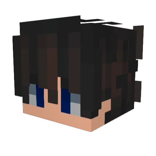 Ironice991 Minecraft avatar head, 3D render
