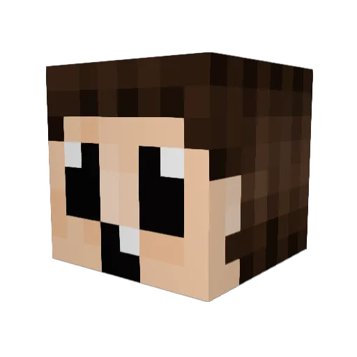 Ironmarmot Minecraft avatar head, 3D render