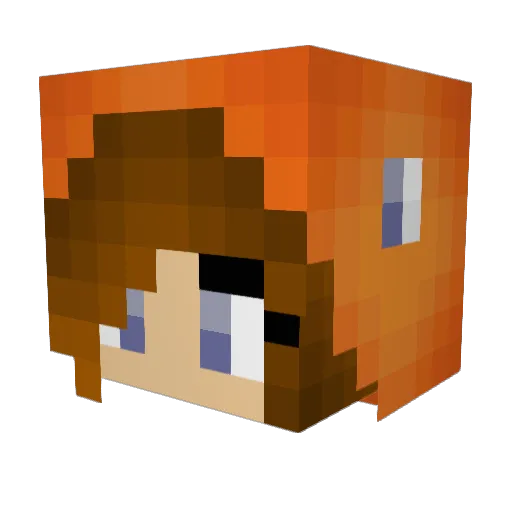 Ironspider11 Minecraft avatar head, 3D render